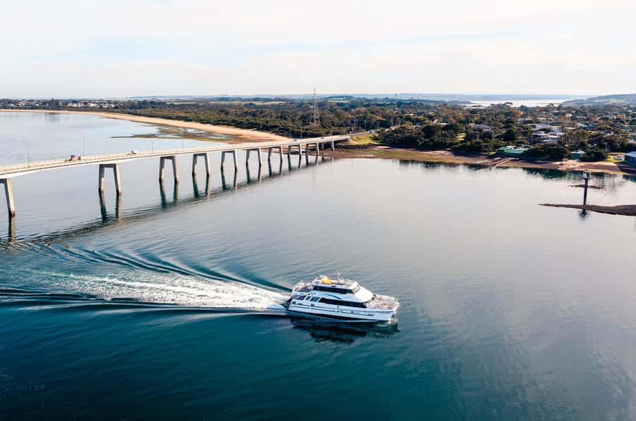 Phillip Island: 1-Hour Cape Woolamai Scenic Cruise - Wildlife and Scenery: What to Look For During the Cruise