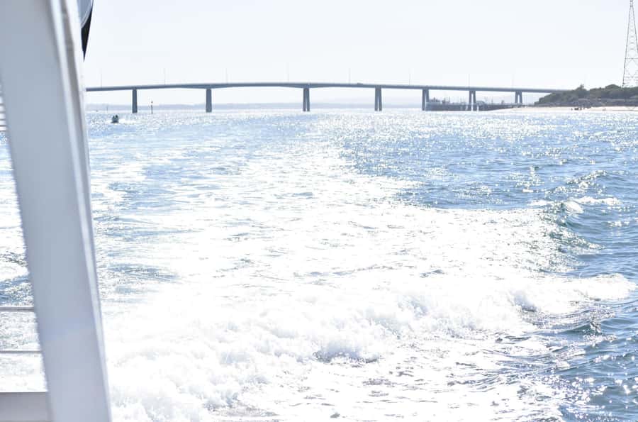 Phillip Island: 1-Hour Cape Woolamai Scenic Cruise - Comfort, Safety, and Who This Cruise Fits Best