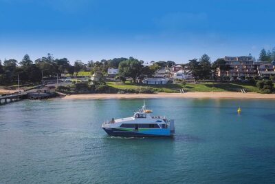 Phillip Island and French Island Wildlife Expedition - French Island National Park: where the koala search feels real