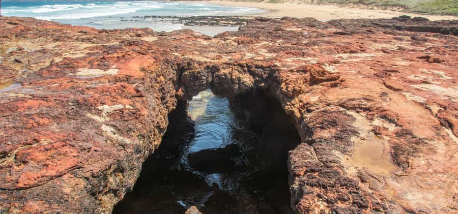Phillip Island Driving Tour with an APP - Key Highlights You’ll Actually Feel During This Route