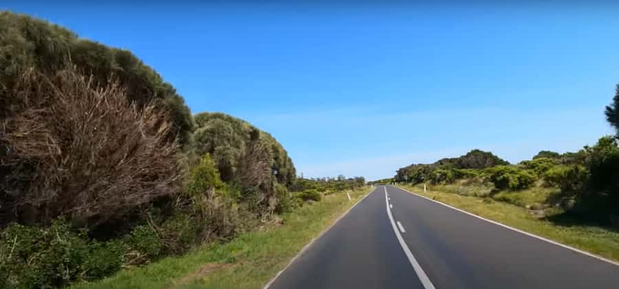 Phillip Island Driving Tour with an APP - Price and Logistics: What You’re Getting for $14