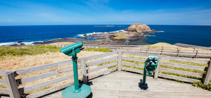 Phillip Island Driving Tour with an APP - Koalas and Wildlife Park: The Closest Up-Close Moments