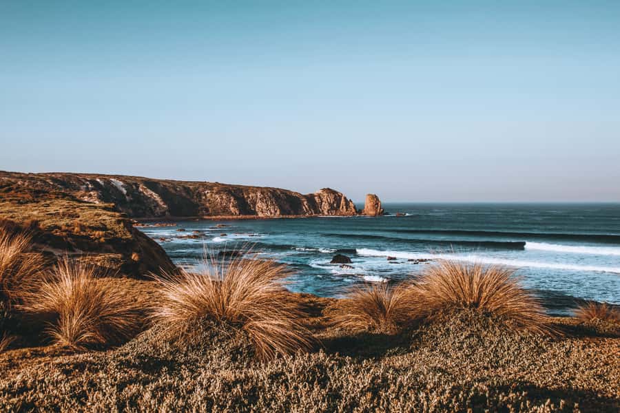 Phillip Island: Hike and Penguin Parade - 8 pax Small Tour - Key things that make this tour work