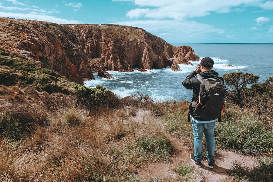 Phillip Island: Hike and Penguin Parade - 8 pax Small Tour - Who this Phillip Island day trip is best for