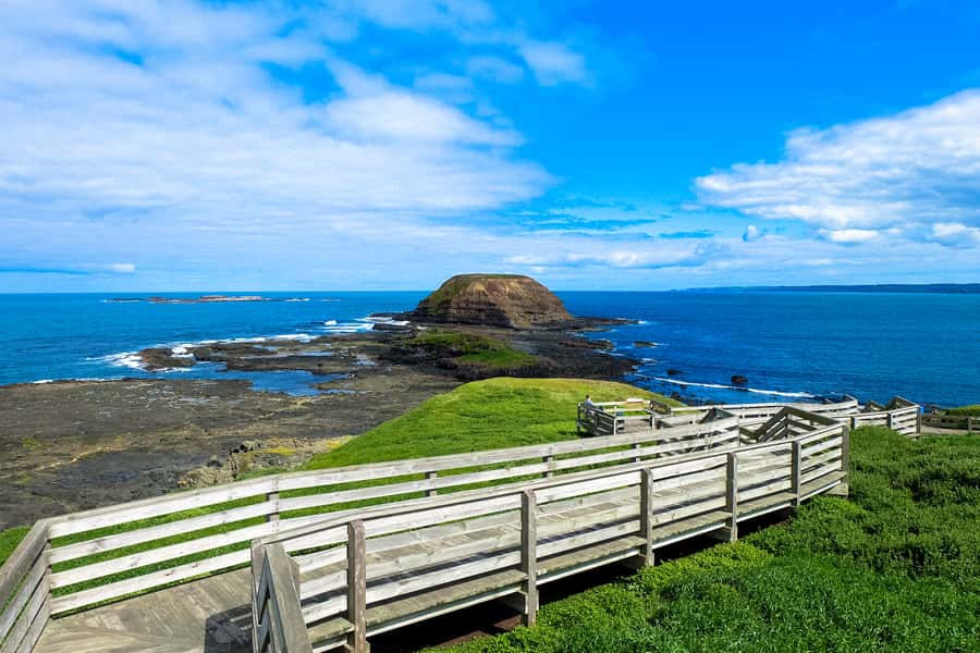 Phillip Island: Hike and Penguin Parade - 8 pax Small Tour - Price and value: where the tour makes sense, and where you can save