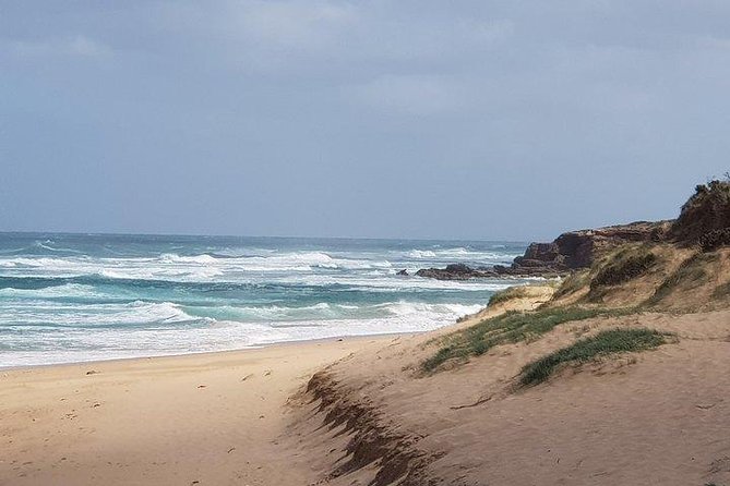 Phillip Island Penguin and wildlife Tour - Melbourne pickup and the rhythm of a 12-hour day