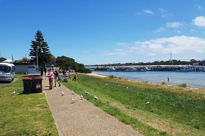 Phillip Island Penguin and wildlife Tour - Stop 1: Phillip Island Wildlife Park for kangaroos and koalas