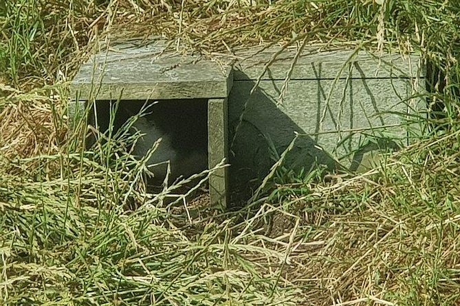 Phillip Island Penguin and wildlife Tour - Stop 3: The Nobbies Centre for seals on the rocky outcrop
