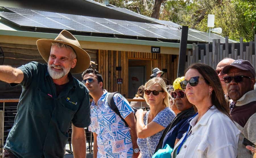 Phillip Island Penguin Parade with Expert Local Guide - Guide style and group rhythm: what you can expect from the day