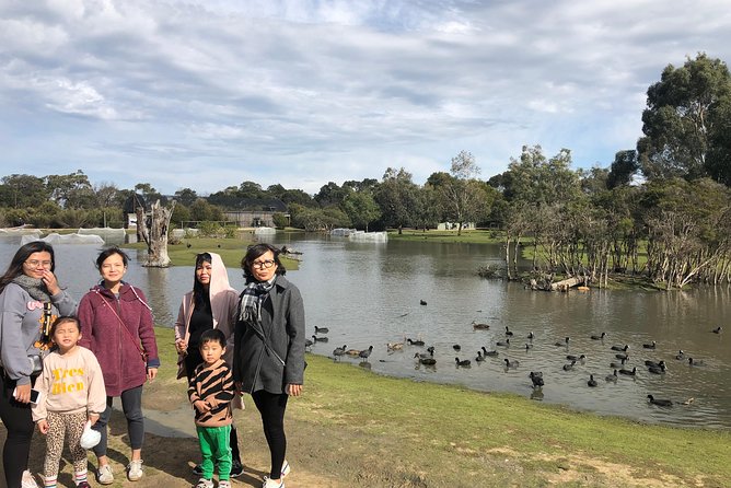 Phillip Island Penguins Private Adventure - The Nobbies Centre boardwalk: scenic walking with wildlife possibility