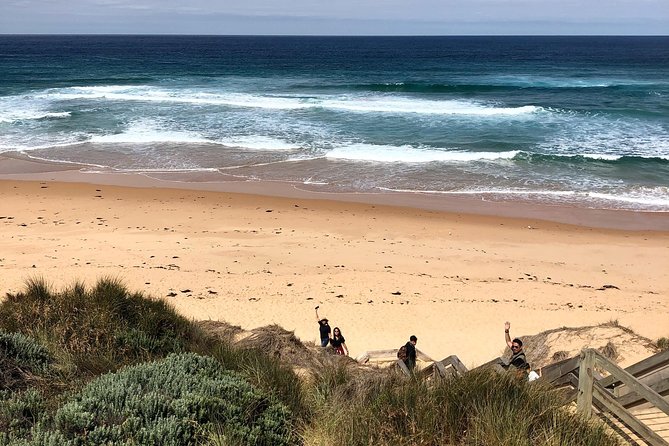 Phillip Island Penguins Private Adventure - Cape Woolamai Walk: a quick beach start with real local texture