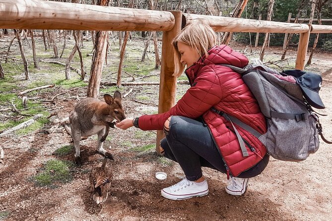 Phillip Island Penguins & Wildlife Day Tour from Melbourne - Why Phillip Island feels like a real wildlife day, not just a bus ride