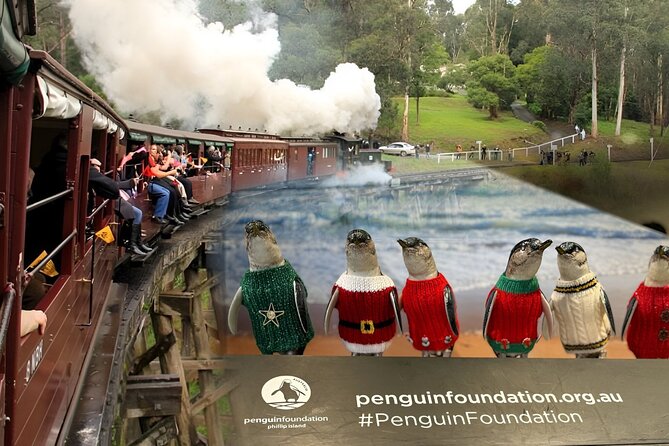 Phillip Island Penguins & Wildlife Day Tour from Melbourne - Penguin Parade rules and “cold night” tips that actually help