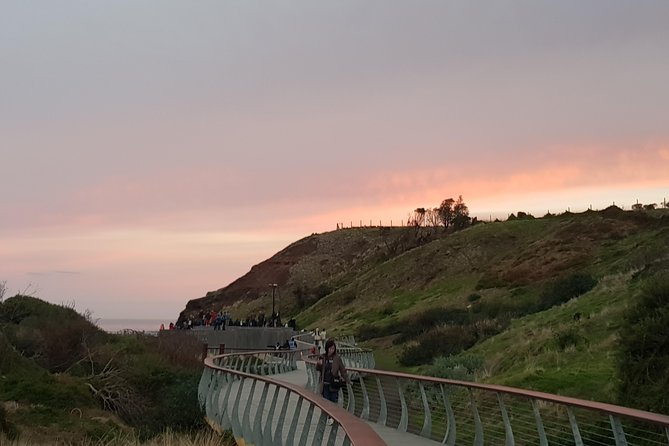 Phillip Island Private Experience - Boardwalk Clifftop Walking: Where The Coast Gets Wild