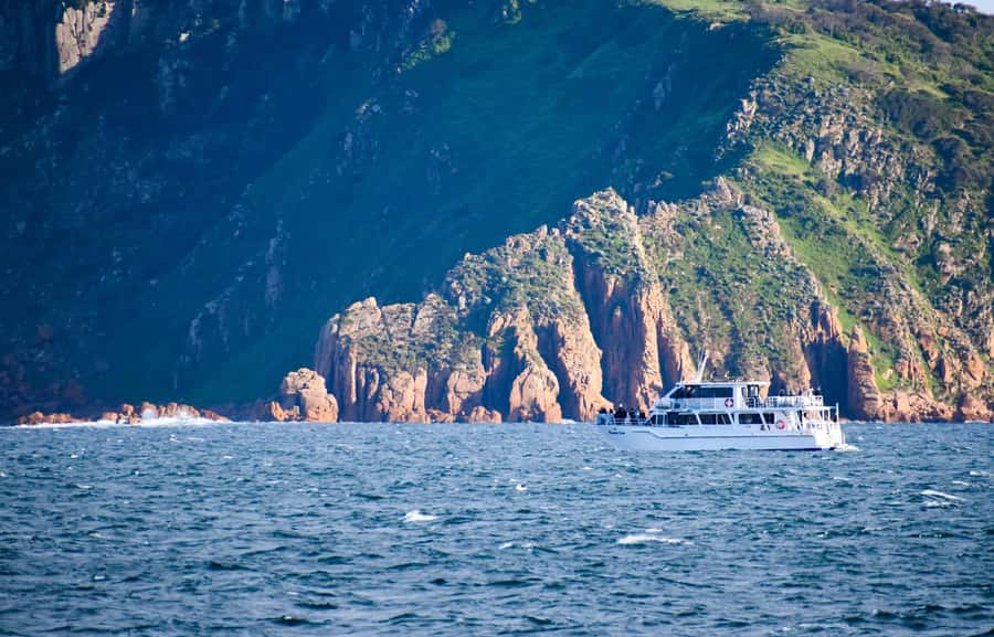 Phillip Island: Whale Watching Boat Tour - Winter Conditions and Route Changes: Plan for Flexibility