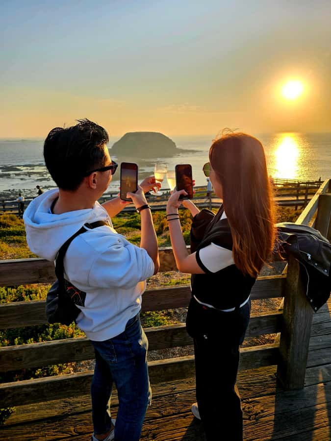 Phillip Island: Wine, Wildlife & Penguins with Gourmet Feast - A Half-Day Built Around Wine, Coast, and Penguins