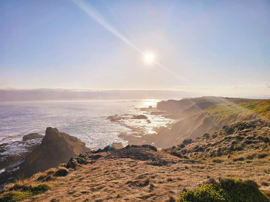 Phillip Island: Wine, Wildlife & Penguins with Gourmet Feast - The Nobbies Sunset Walk: Penguins Start in the Coast’s Mood