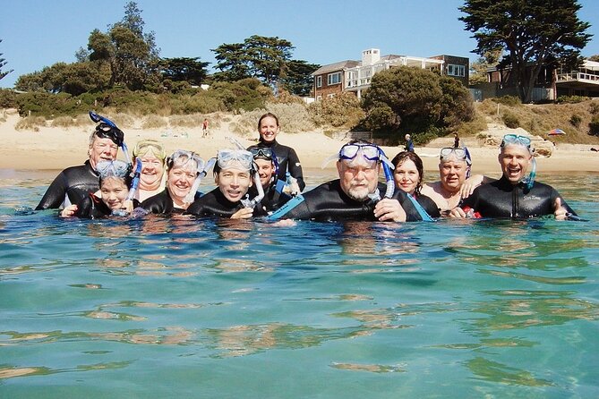 Port Phillip Bay Snorkeling with Sea Dragons - Wildlife time: spotting weedy seadragons (and the bonus species you’ll want to hunt)