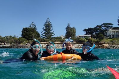 Port Phillip Bay Snorkeling with Sea Dragons - Gear and safety: wetsuits, life rings, and why they matter