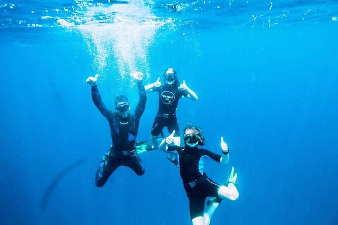 Port Phillip Bay Snorkeling with Sea Dragons - Price and value: is $86.07 worth it?