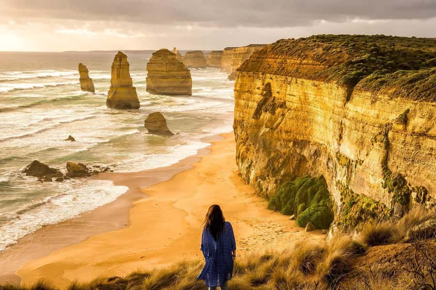 Premium Great Ocean Road Reverse Tour 13Pax Max Hotel PickUP - Wild koala and kangaroo chances on the return drive