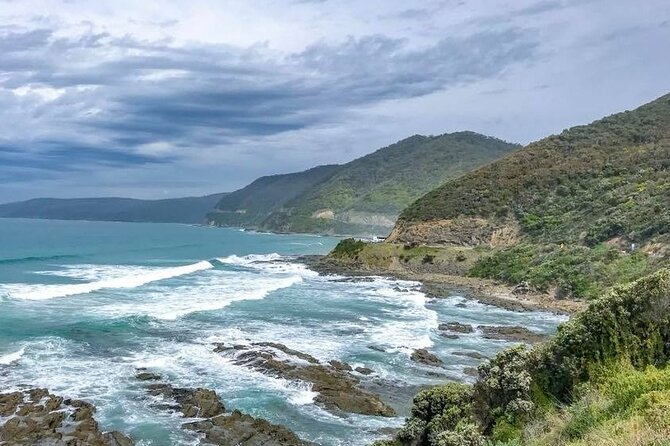 Premium Small Group Great Ocean Road & Wildlife with Lunch - Apollo Bay Lunch: The Break That Keeps the Day From Dragging