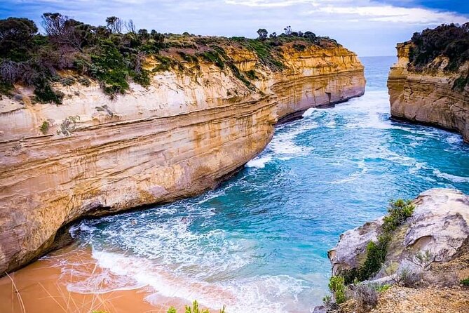 Premium Small Group Great Ocean Road & Wildlife with Lunch - The Morning Start: Billy Tea, Snacks, and a Smooth Kickoff