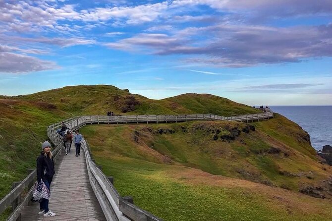 Premium Small Group Philip Island eco Tour - Koala Conservation Reserve: Treetop Boardwalk Viewing Time