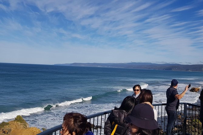 Private 12 Apostles Express Tour - Shorter - Mercedes Minivan Comfort Makes the Road Part of the Experience
