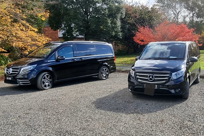Private and Customised Great Ocean Road and Luxury Tour - Private Great Ocean Road Value: What $1,040 per Group Really Buys