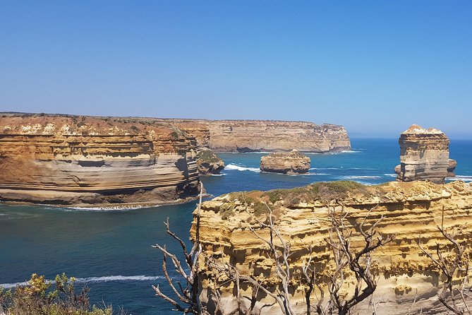 Private and Customised Great Ocean Road and Luxury Tour - Luxury Pickup in Melbourne: The Part That Makes the Day Effortless