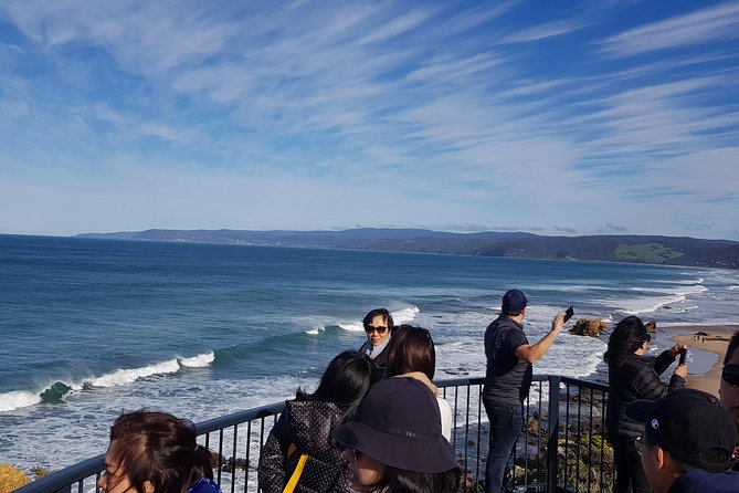 Private and Customised Great Ocean Road and Luxury Tour - Teddy’s Lookout and Apollo Bay Lunch: Views First, Then Food on Your Terms