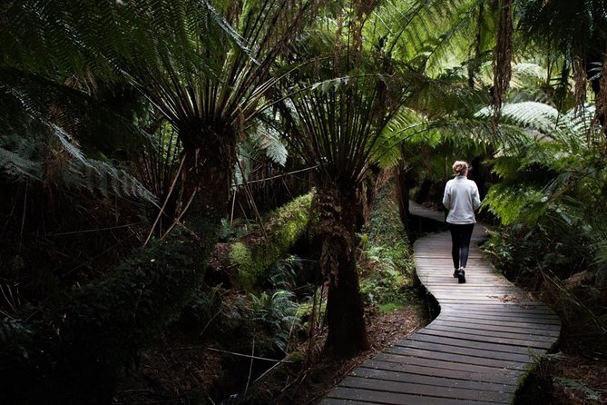 Private Bespoke Melbourne Walking Tour - Expert Local Guide - Royal Botanic Gardens to Bourke Street Mall and Chinatown: the ideal middle stretch