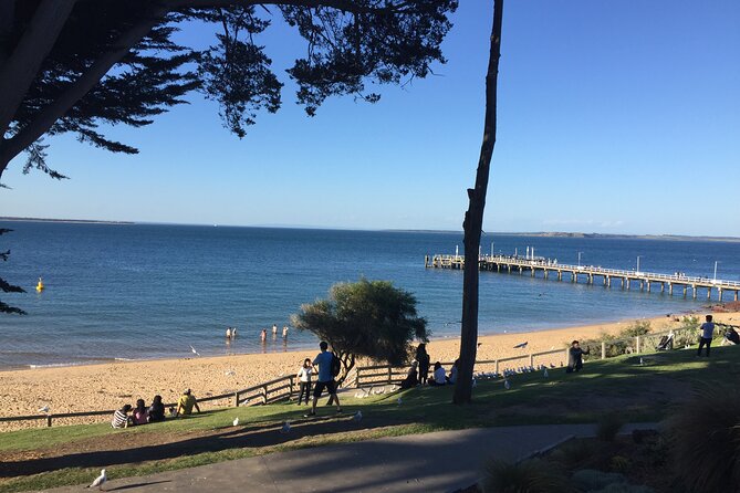 Private custom Tour of Phillip Island With Penguin Parade - Your Melbourne guide and vehicle: small group comfort counts