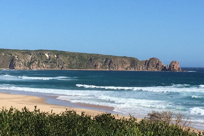 Private custom Tour of Phillip Island With Penguin Parade - Stop 4: Cape Woolamai Beach, headland views, and surf vibes