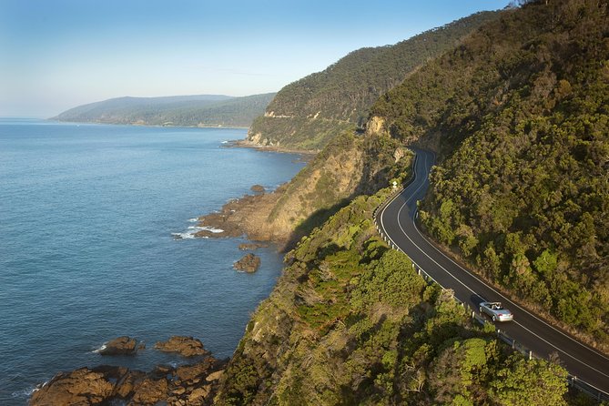 Private Great Ocean Road and Twelve Apostles Tour from Melbourne - Kennett River koalas: a nature stop that feels more grounded