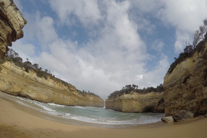 Private Great Ocean Road Local Experience - Kennet River: tree-top wildlife spotting plus parrots and rosellas