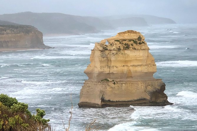 Private Great Ocean Road Local Experience - Apollo Bay Bakery: lunch odds, souvenirs, and the ice cream factor