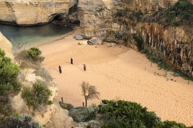 Private Great Ocean Road Local Experience - Pickup, timing, and what a 7:30am start means