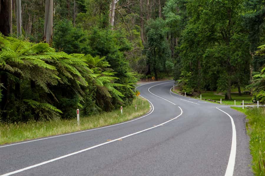 Private Great Ocean Road Tour - The return to Melbourne: keeping the day enjoyable at the end