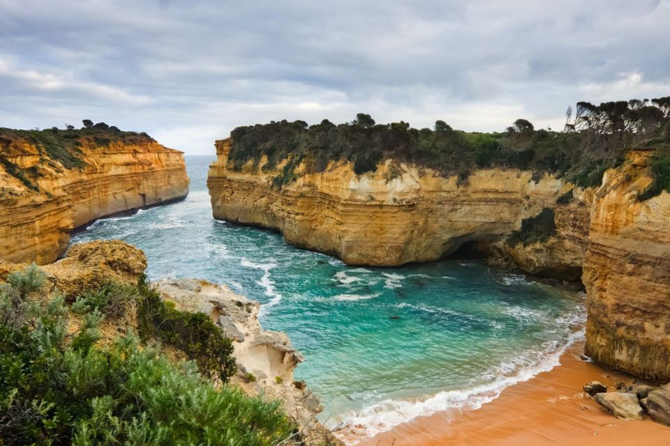 Private Great Ocean Road Tour - Kennett River for birds and koalas: wildlife time, done responsibly