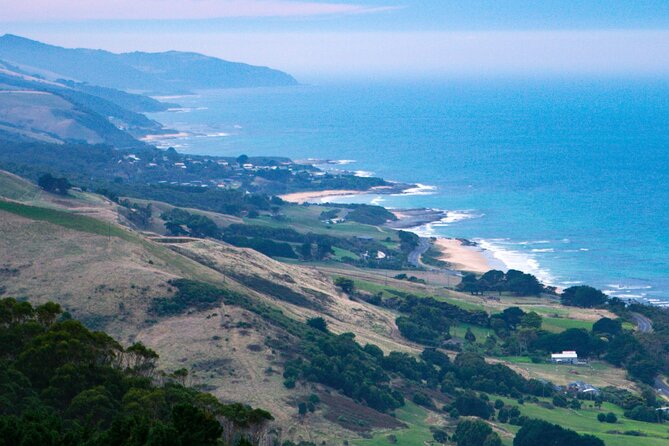 Private Helicopter Tour to 12 Apostles & Great Ocean Road - Landing at Apollo Bay: your road-day taste of town and sea