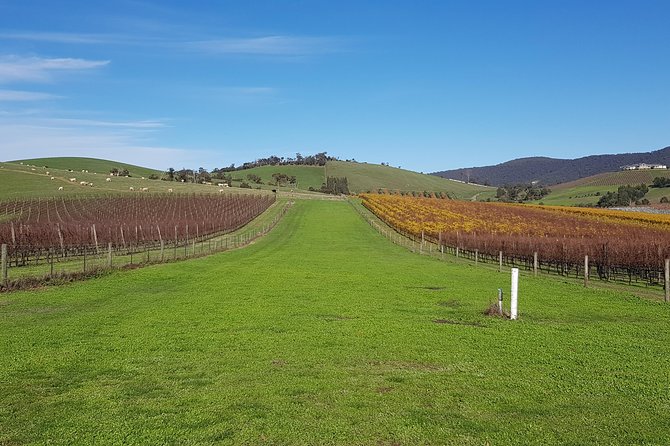 Private, Luxury and Tailored Yarra Valley Wine Tour - Key Highlights You’ll Want To Know