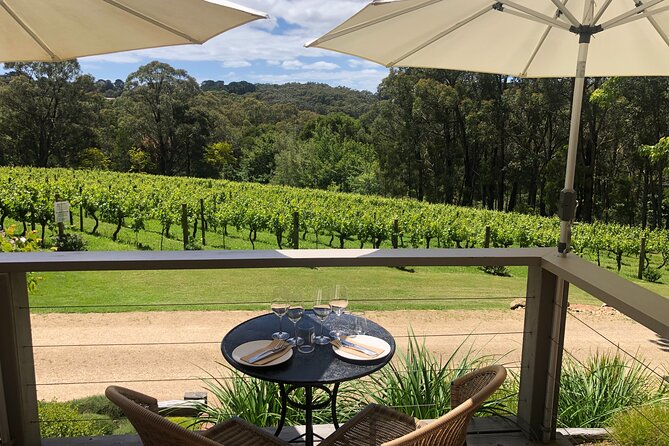 Private Mornington Wine Tour Small Group - Red Hill winery visit: another tasting block, another style