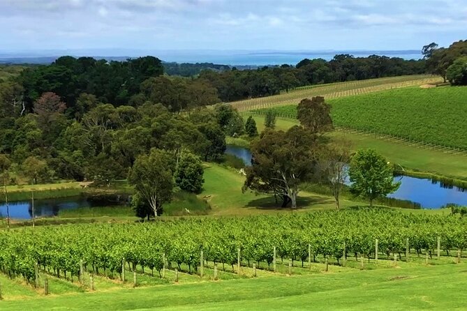 Private Mornington Wine Tour Small Group - Pt. Leo Estate tasting with Western Port Bay views