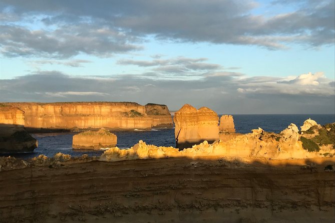 [PRIVATE TOUR] 12 Apostles | Great Ocean Road | Day Trip - Mait’s Rest Rainforest Walk: The Day’s Best Breather