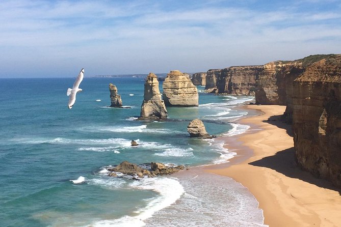 [PRIVATE TOUR] 12 Apostles | Great Ocean Road | Day Trip - Loch Ard Gorge and The Razorback: Quick Stops, Strong Coast Stories