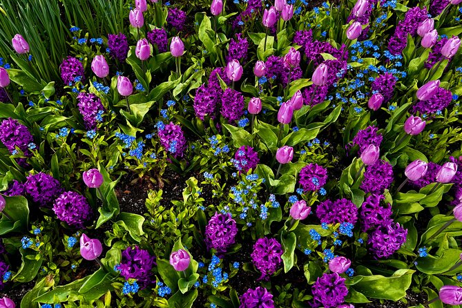 Private Tour Countryside Drive to Butchart Gardens & Victoria - How the timing really feels in a 5-hour private day