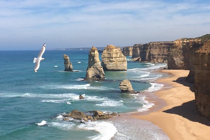 [PRIVATE TOUR] Express Great Ocean Road | Day Trip - Key things to know before you go