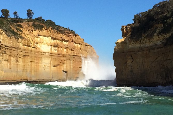 [PRIVATE TOUR] Express Great Ocean Road | Day Trip - Stop 3: The Razorback viewpoint for the coastline overview